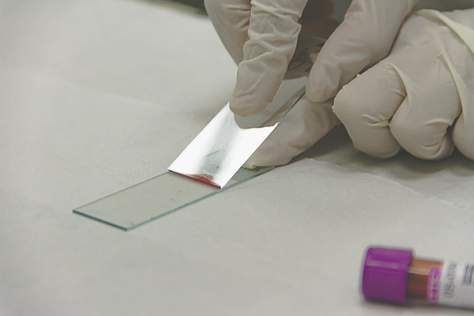 Nobel Micropath Laboratory in Surat — technicians at work